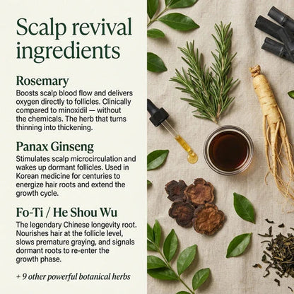 Korean Scalp Revival Bar